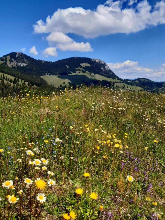 Fewo Niederndorferberg Екстериор снимка