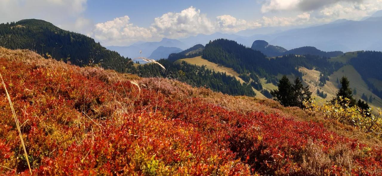 Fewo Niederndorferberg Екстериор снимка